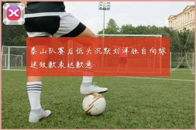 泰山队赛后低头沉默刘洋独自向球迷致歉表达歉意